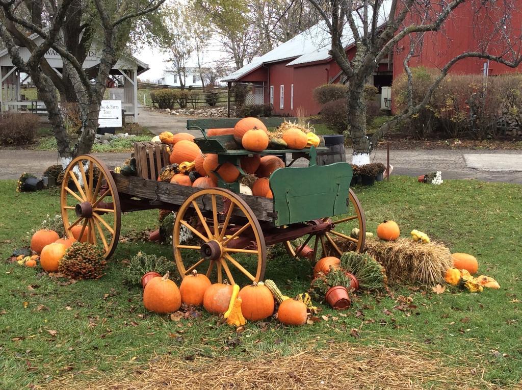 Countryside Inn Nappanee Luaran gambar